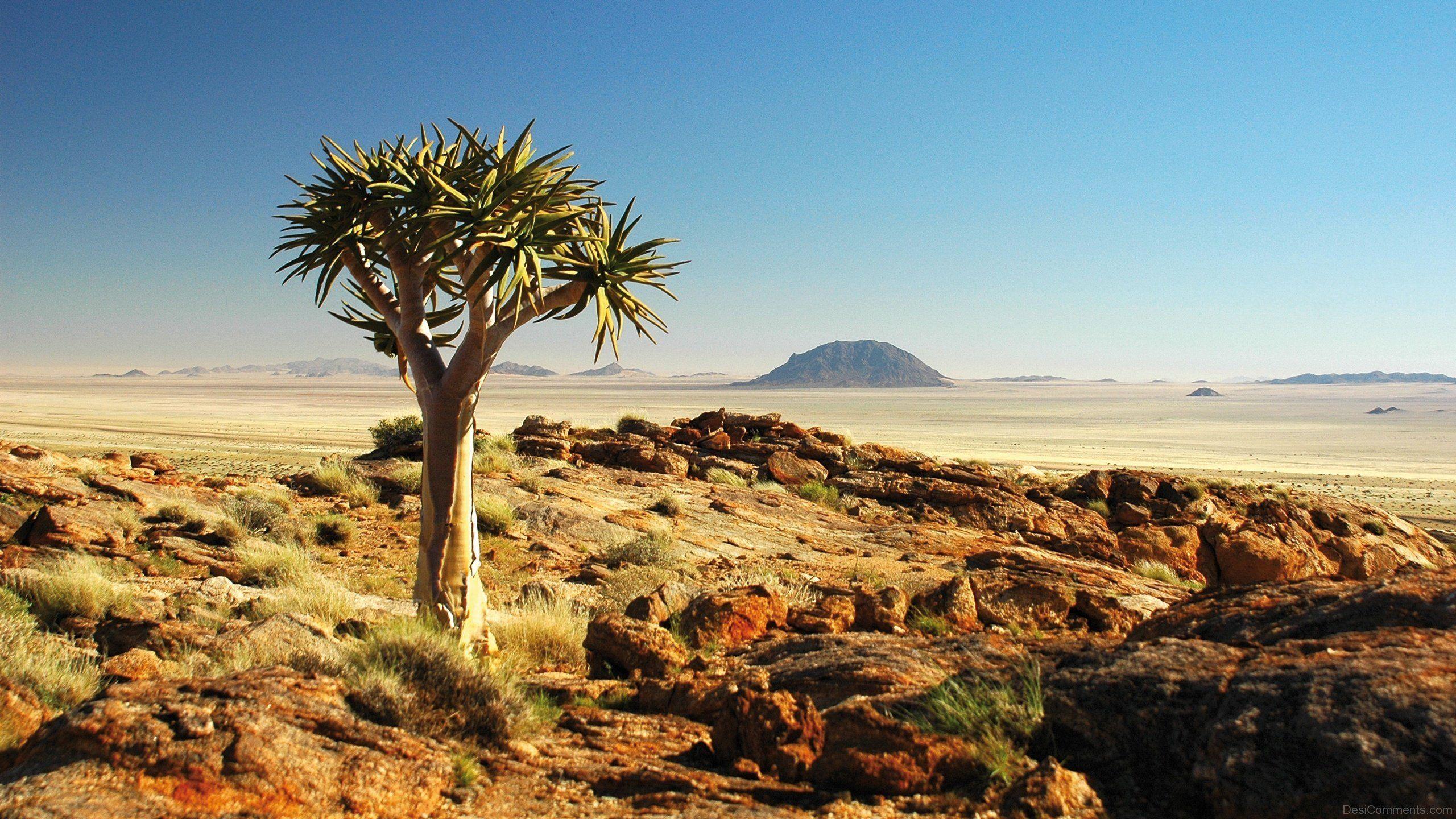 Namibia