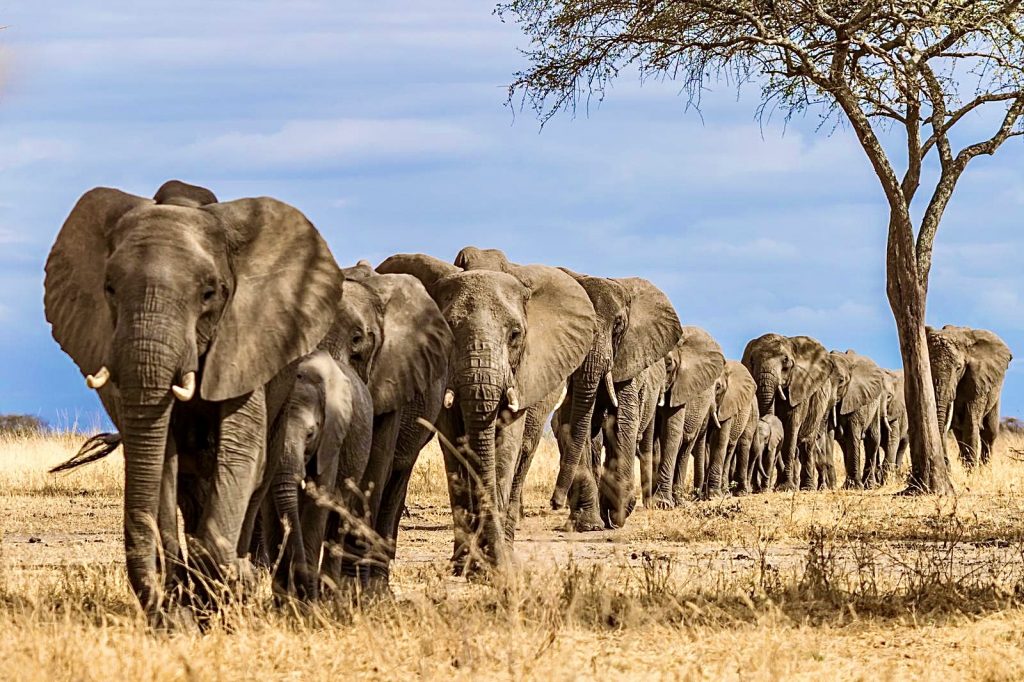 Namibia